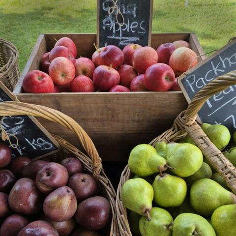 Bellingen Farmers Market