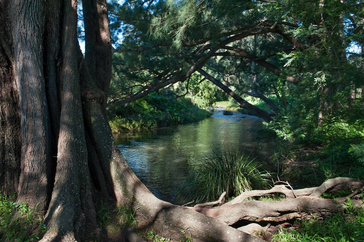 Creek running through the property