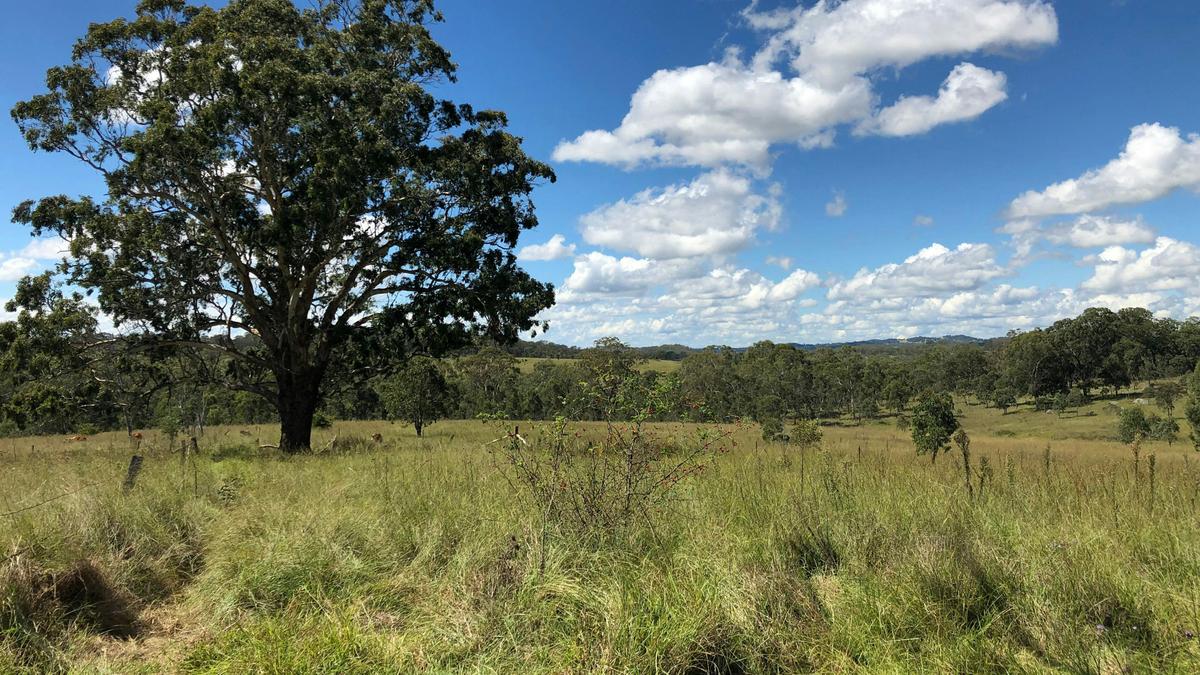 Dalmoak Bush Retreat