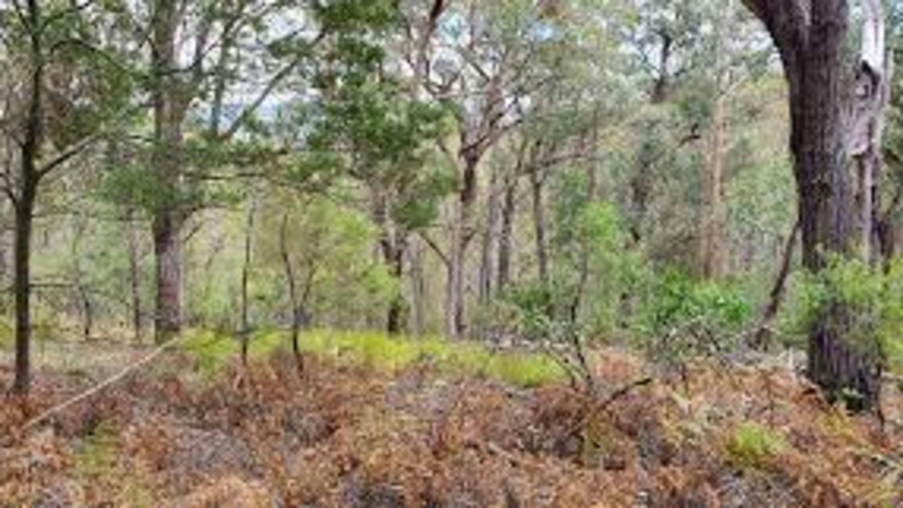 Ellyn’s Excellent Experiences