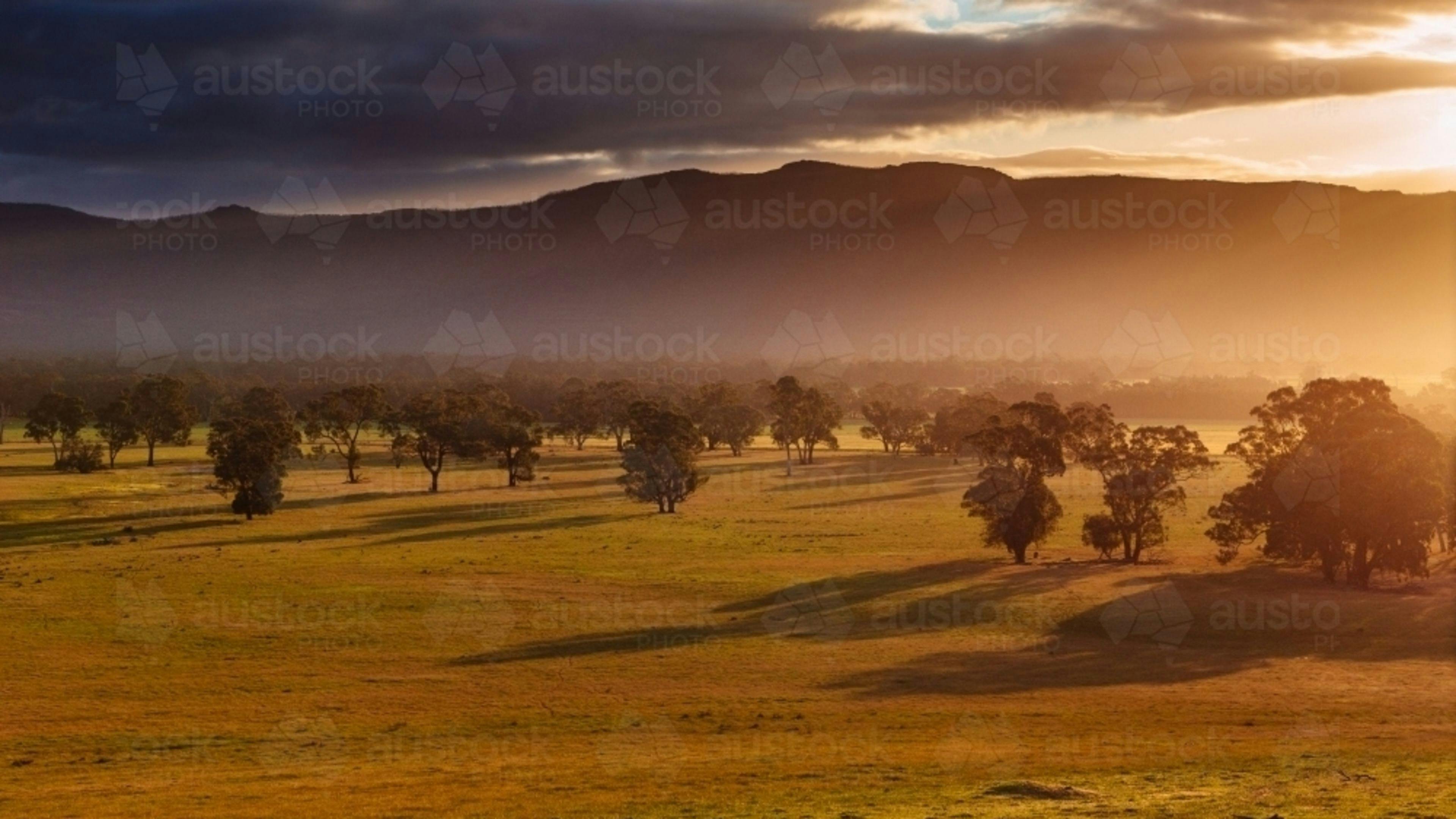 Ellyn’s Excellent Experiences