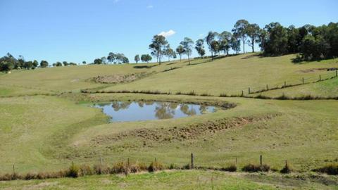 Ellyn’s Excellent Experiences