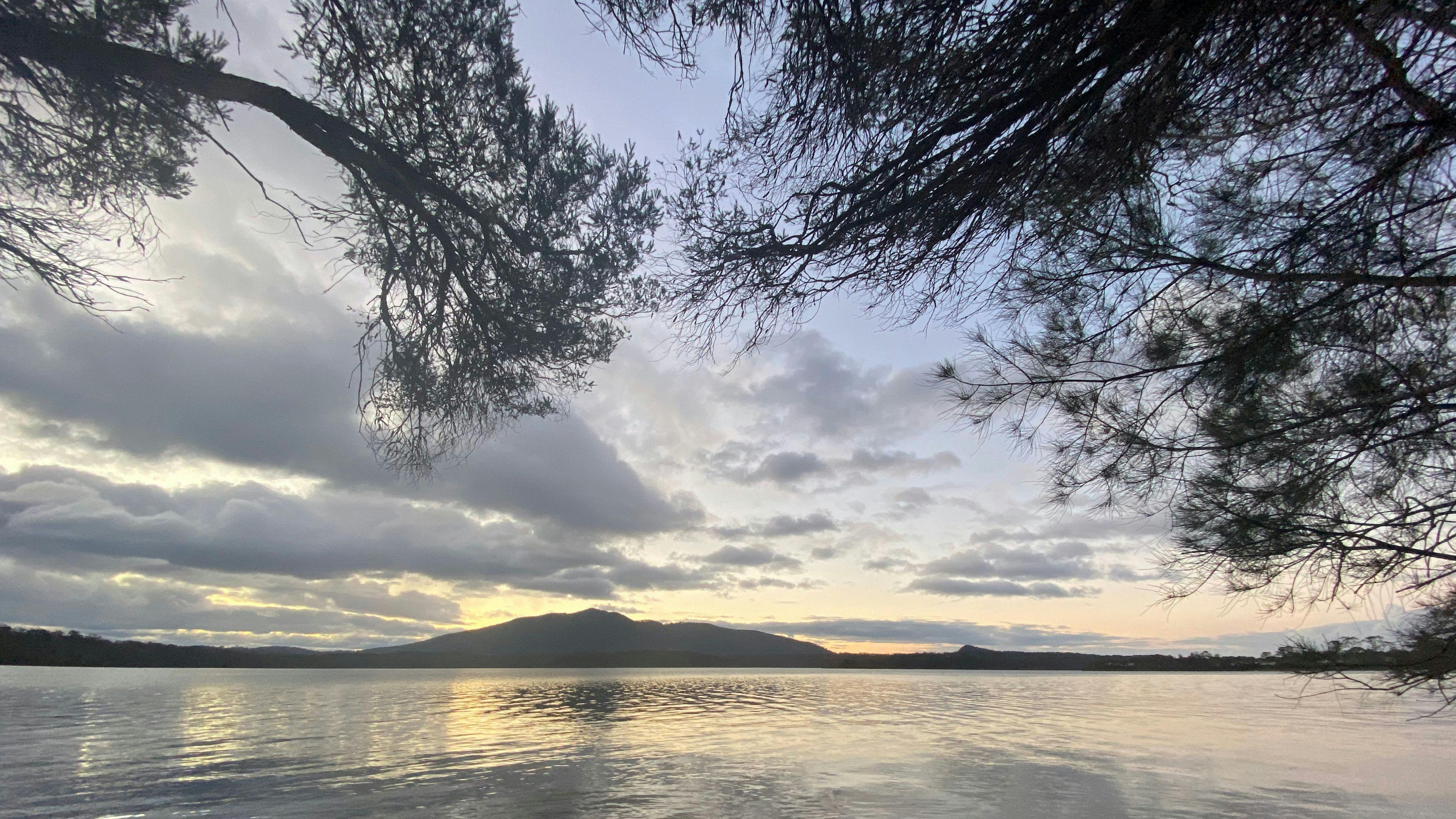 Ellyn’s Excellent Experiences