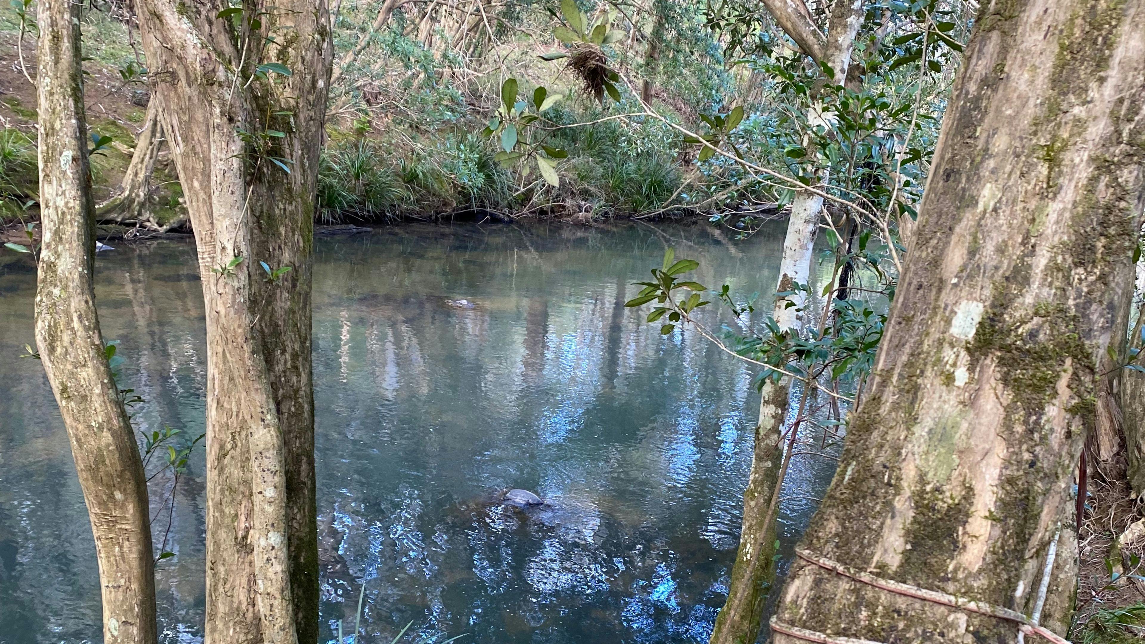 The river at 'the river flat'