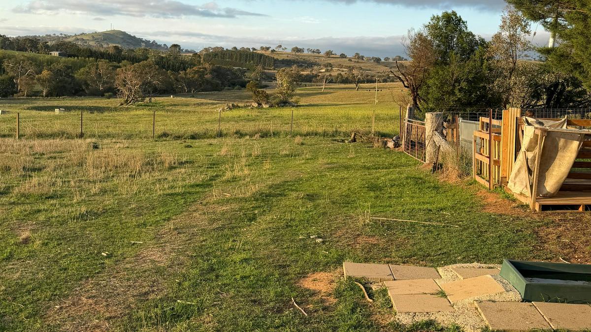 Corella Farm