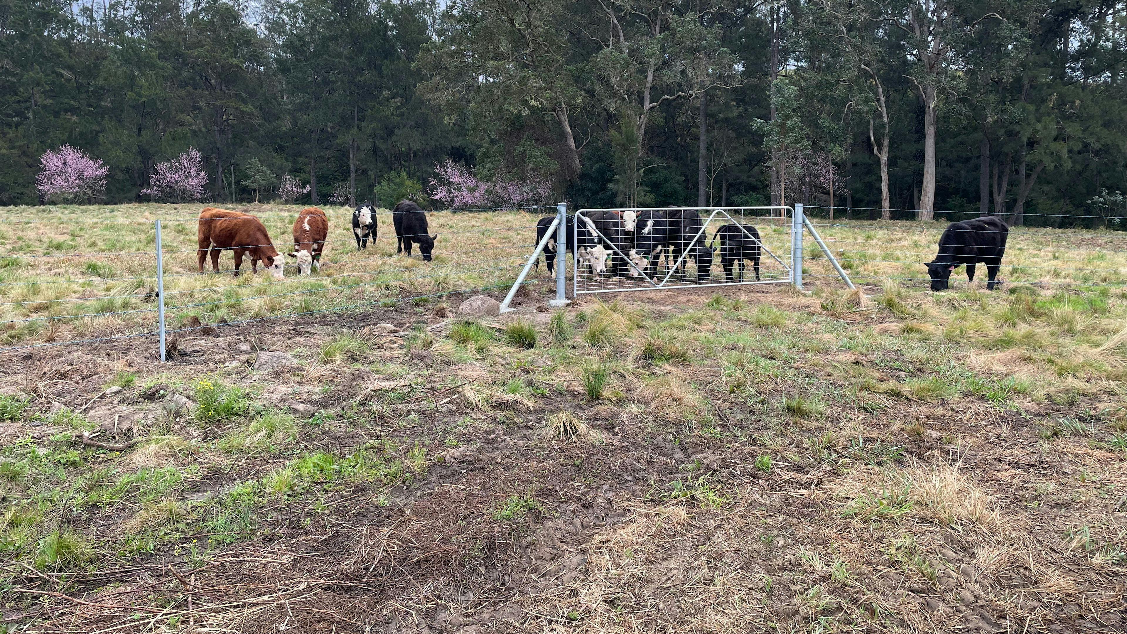 Creek Side Campground