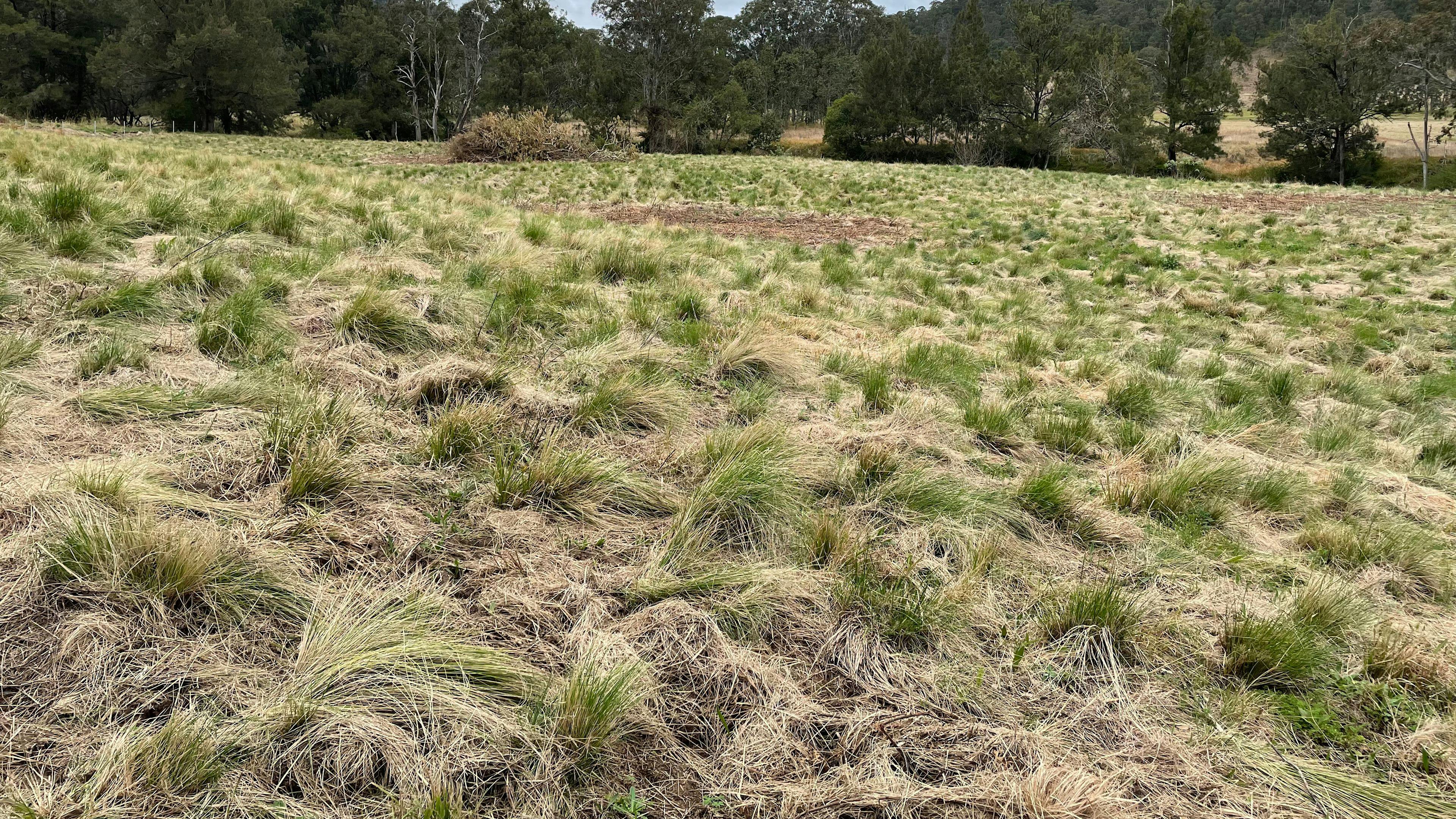 Creek Side Campground
