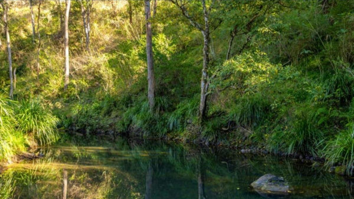 Creek Side Campground