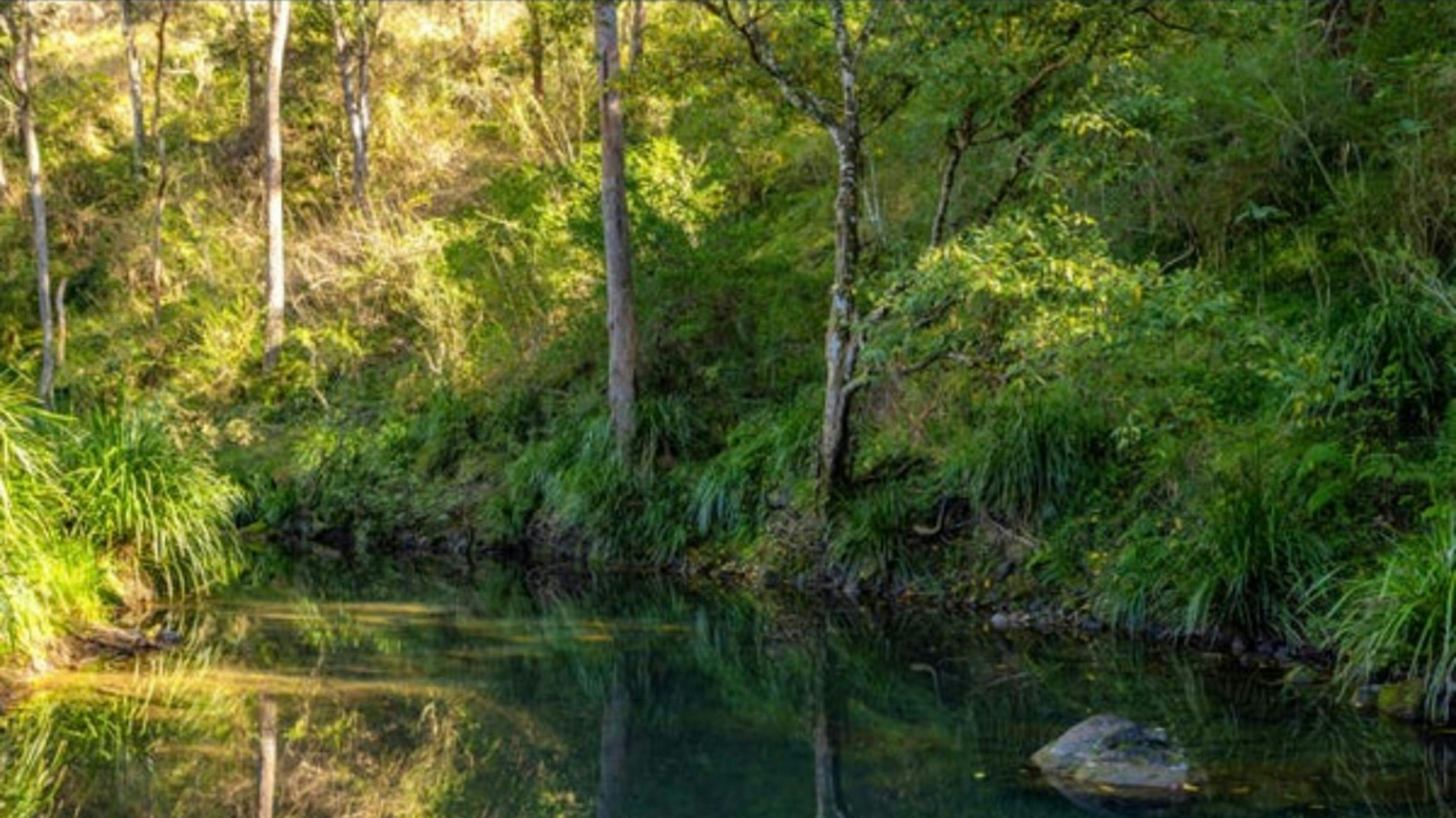 Creek Side Campground