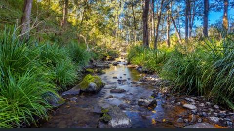 Creek Side Campground