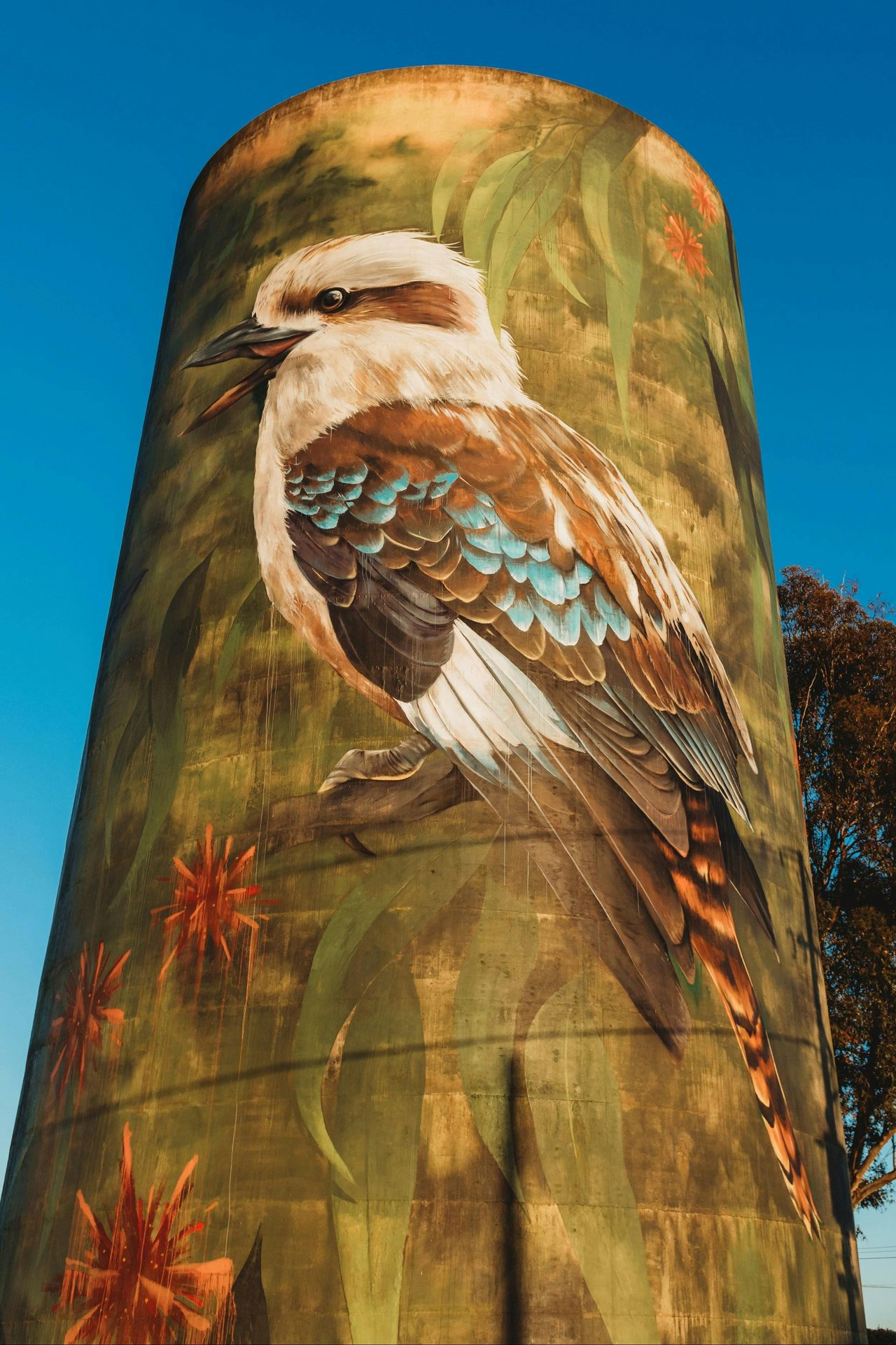 Deniliquin Water Tower - Kookaburra