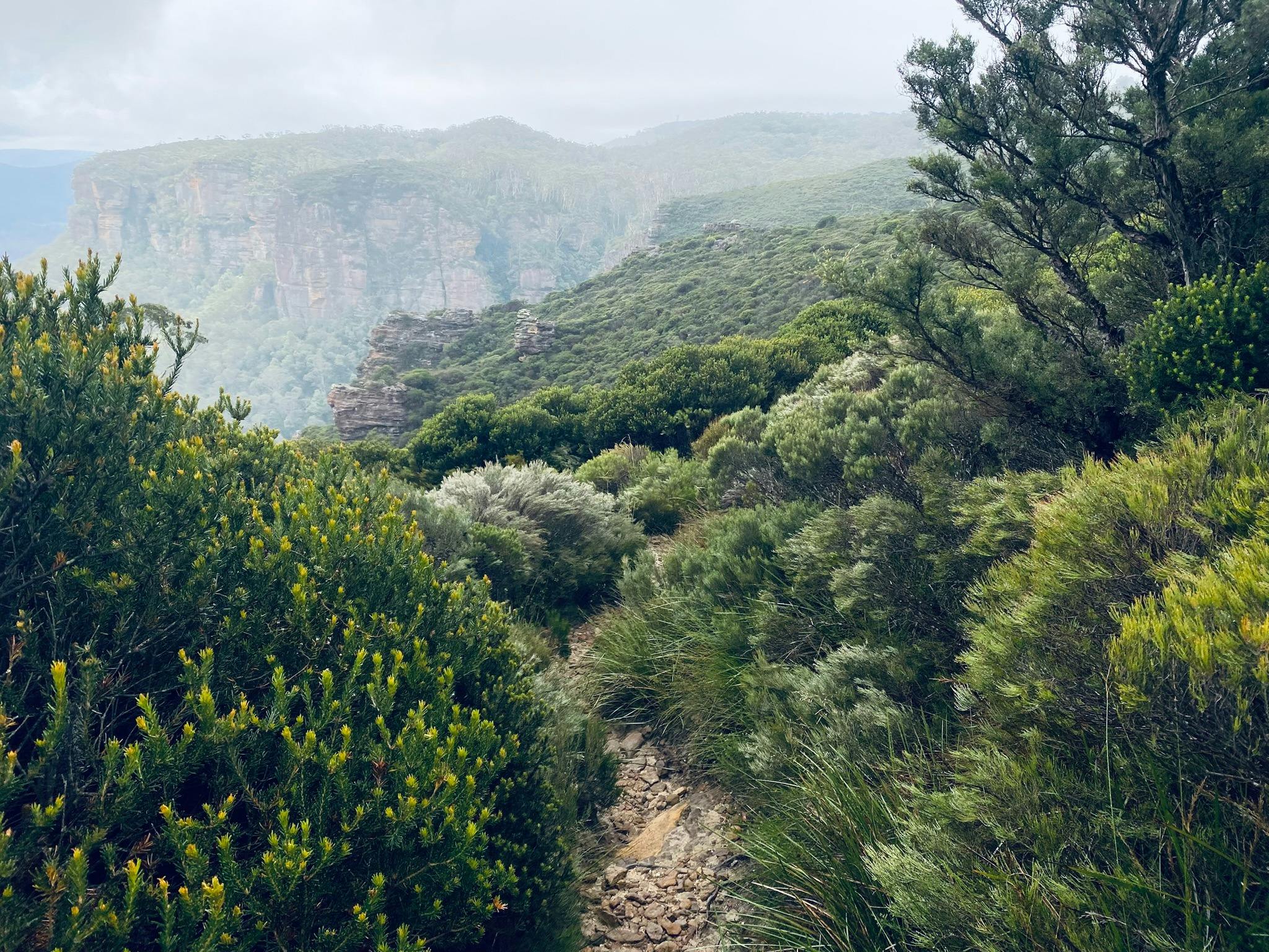 The stunning (and dog-friendly!) Porters Pass - only a brisk walk away!
