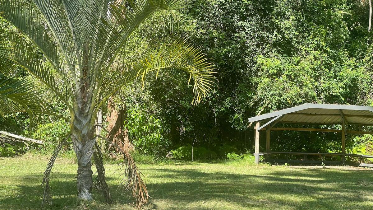 Delhuntie Park -Edens Canopy-