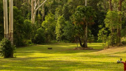 Delhuntie Park -Edens Canopy-