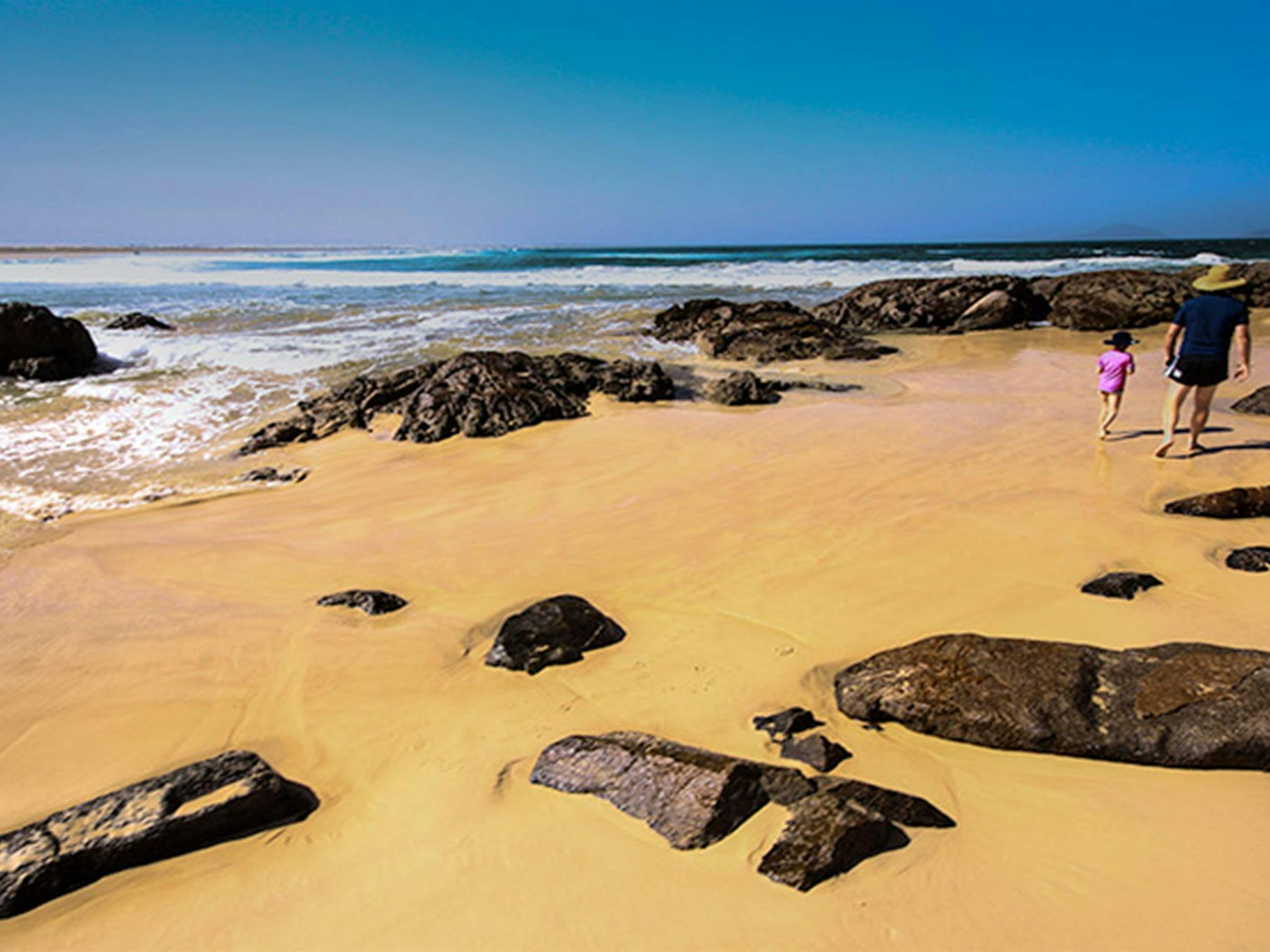 Dark Point, Myall Lakes National Park. Photo: Jodie Chalker/NSW Government