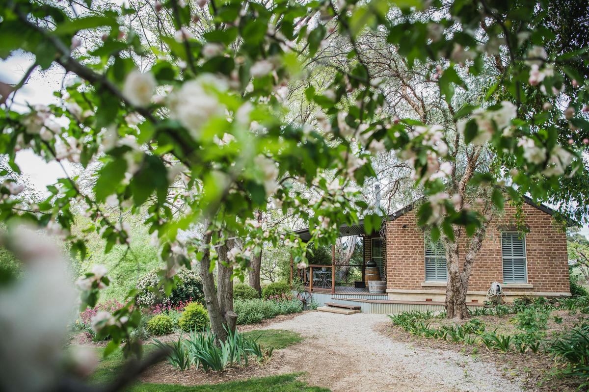 Orchard Cottage