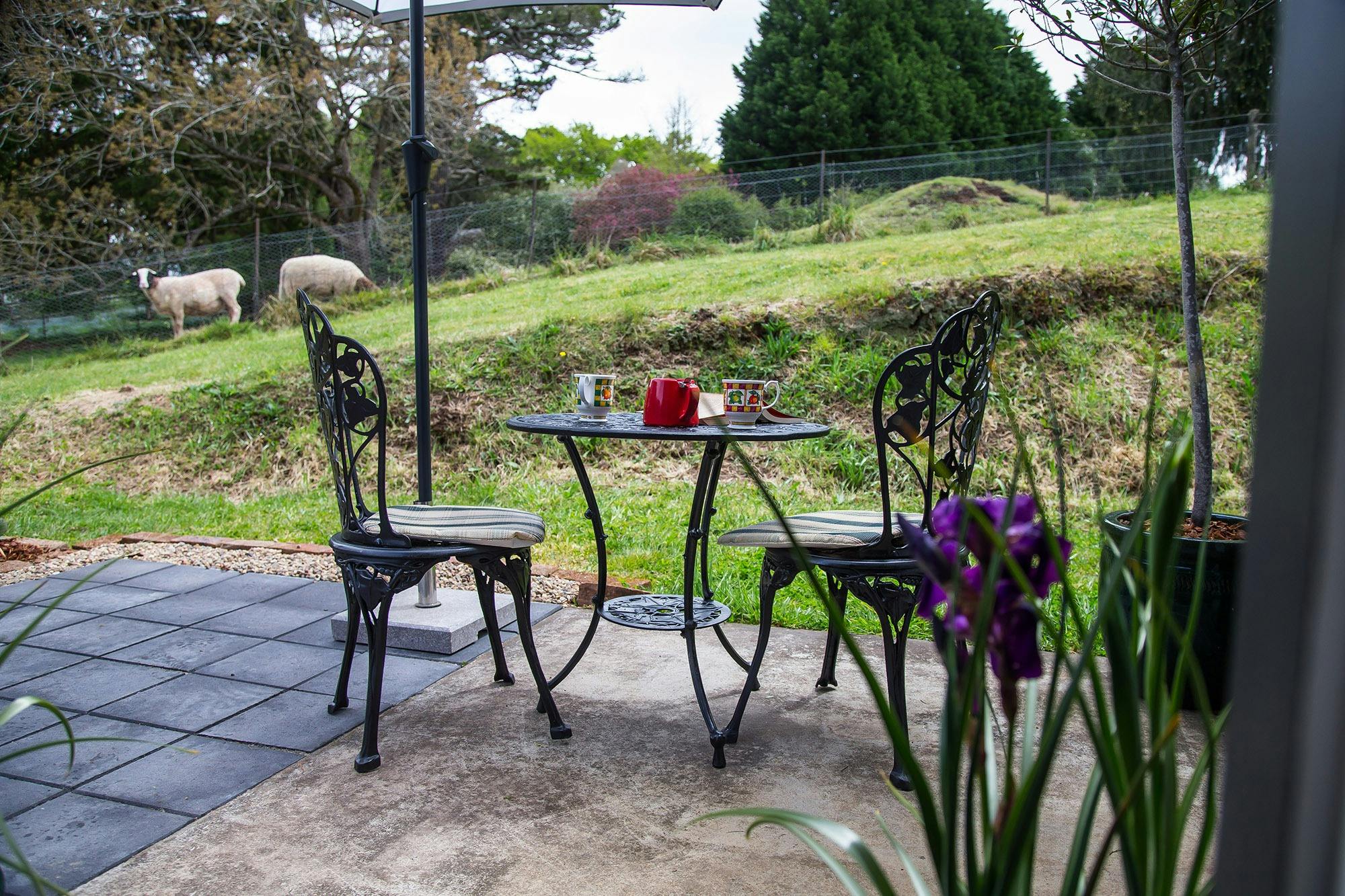 Private outdoor seating with pastoral views and friendly sheep
