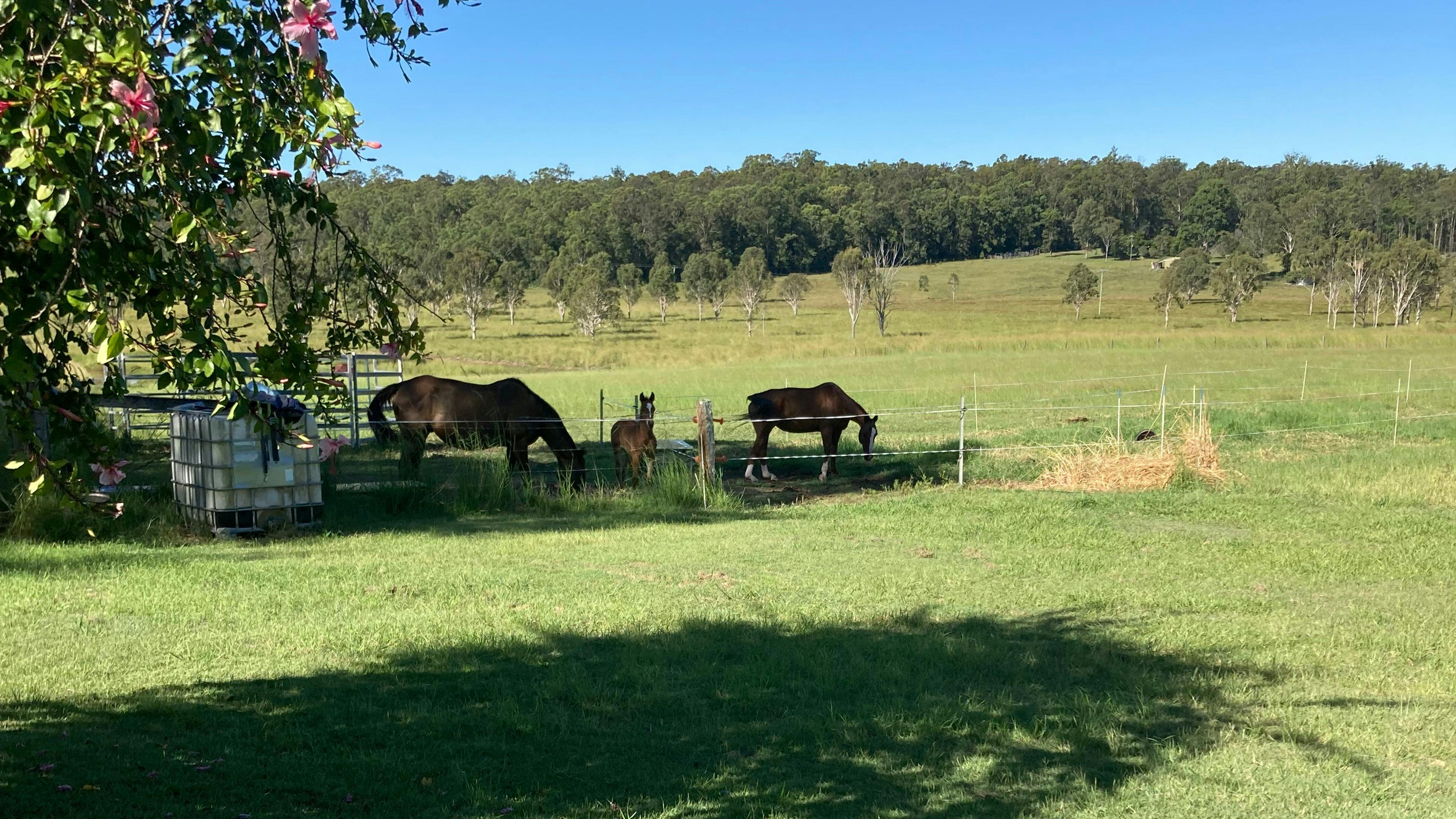 Ellangowan Equine Retreat