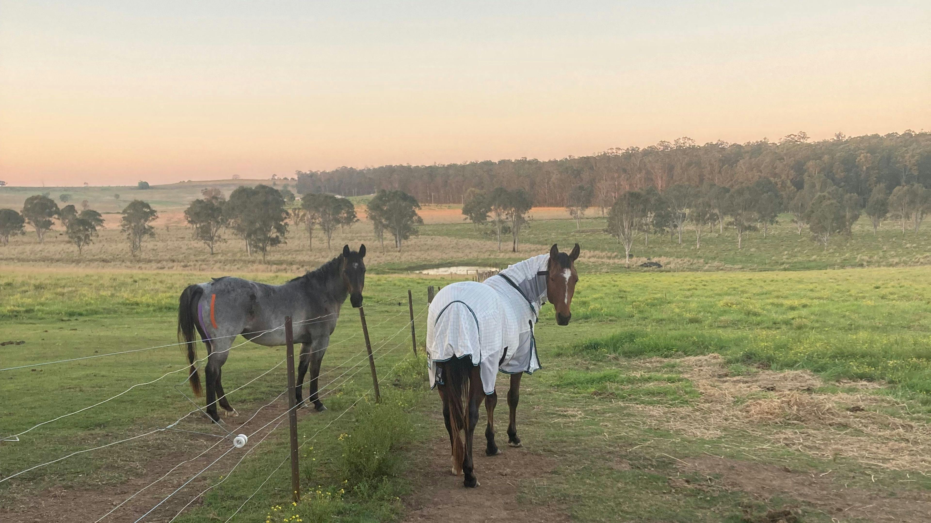 Ellangowan Equine Retreat