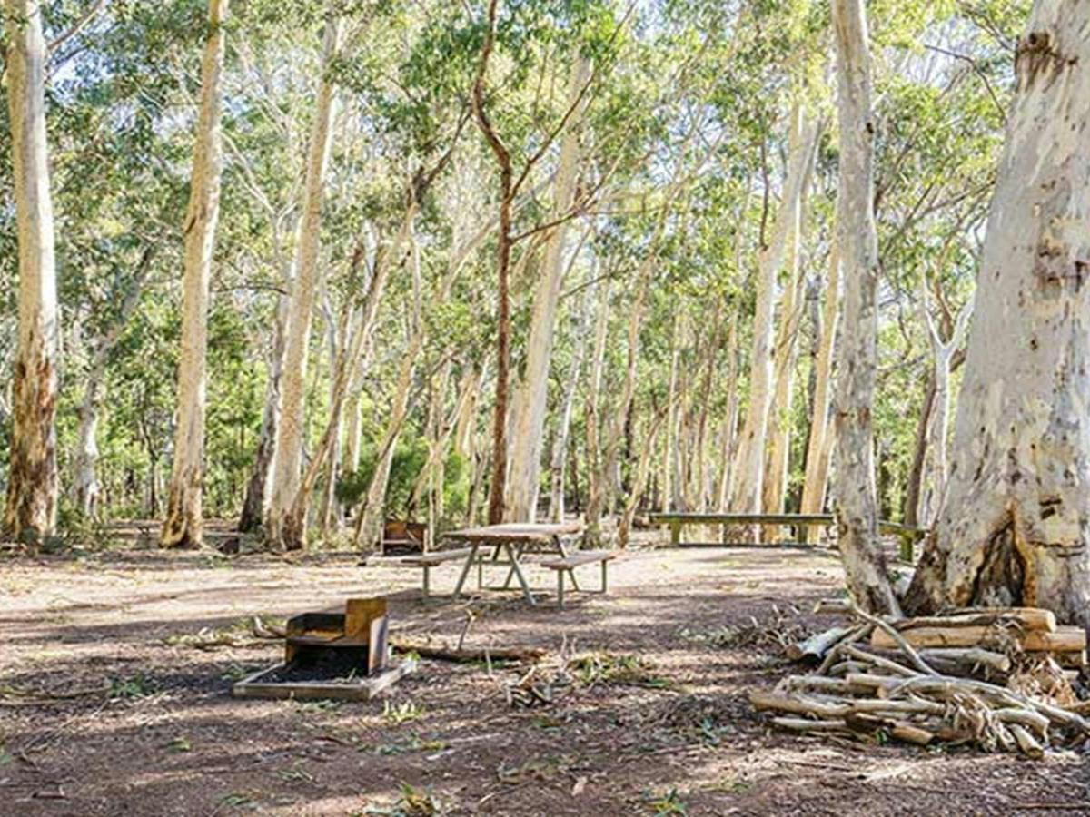 Dawsons Spring campground, Mount Kaputar National Park. Photo: Simone Cottrell/OEH