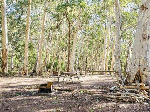 Dawsons Spring campground