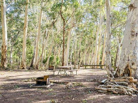 Dawsons Spring campground, Mount Kaputar National Park. Photo: Simone Cottrell/OEH