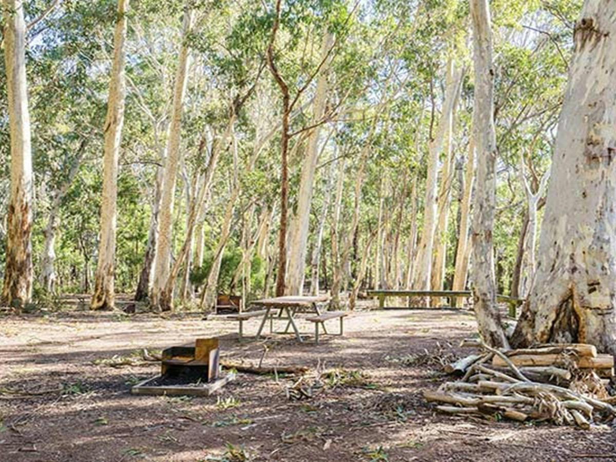 Dawsons Spring campground, Mount Kaputar National Park. Photo: Simone Cottrell/OEH