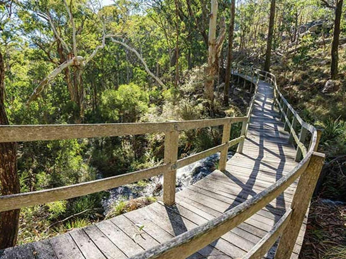 Wooden raised walkway that starts from Dawsons Springs campground. Photo: Simone Cottrell/OEH