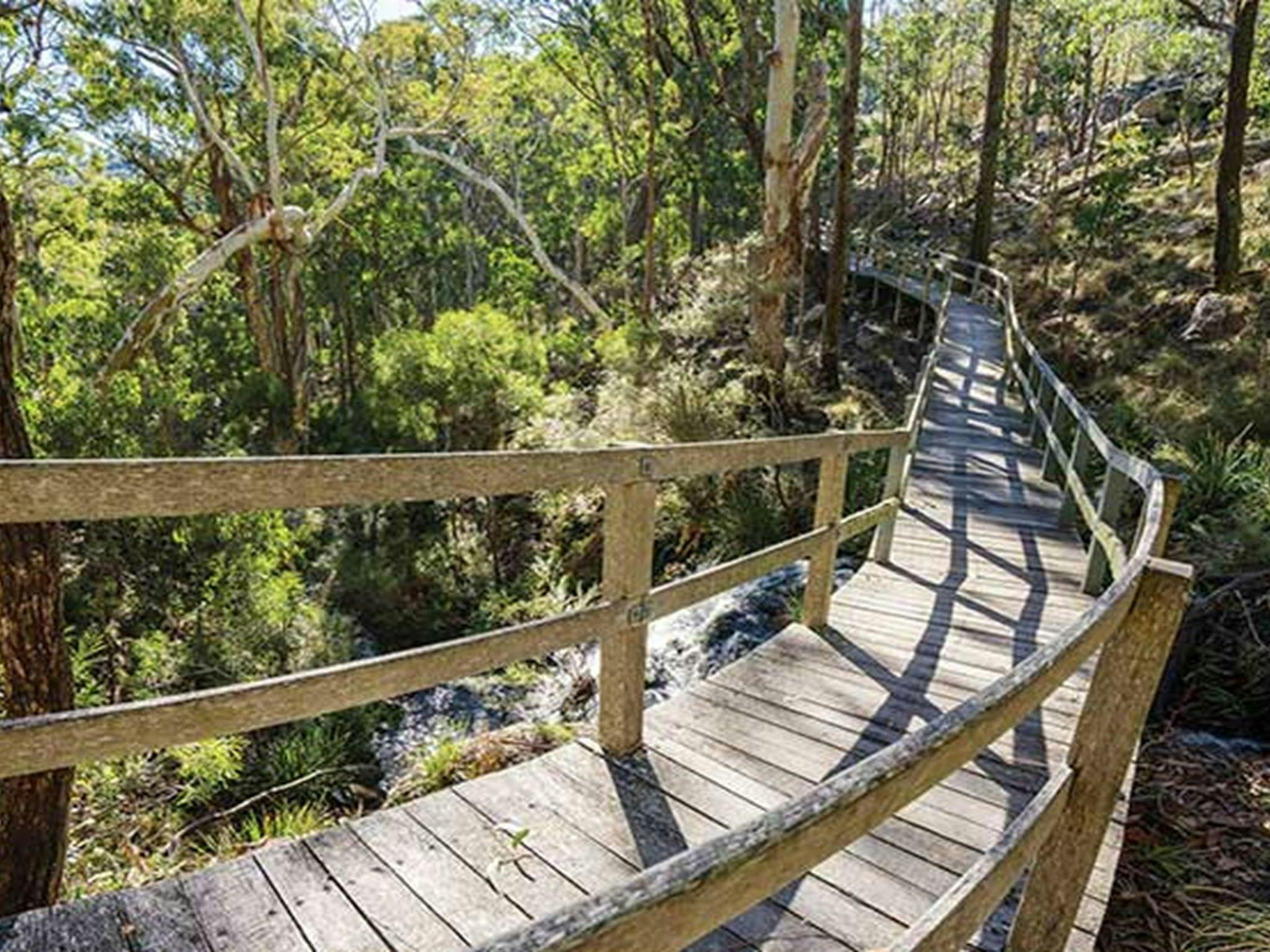Wooden raised walkway that starts from Dawsons Springs campground. Photo: Simone Cottrell/OEH