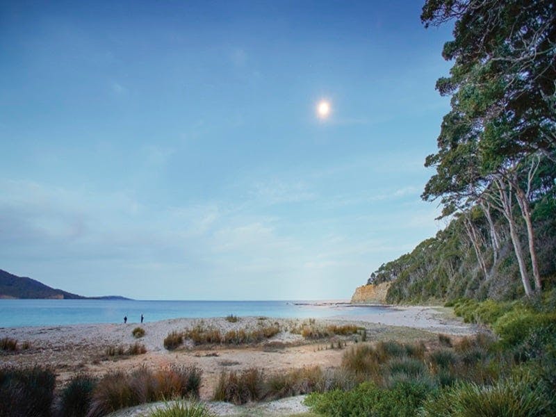 Depot Beach cabins