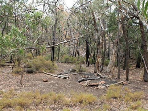 Camping area at Dows camp, set in rugged landscape of bushes and trees. Photo: Blake McCarthy &copy;