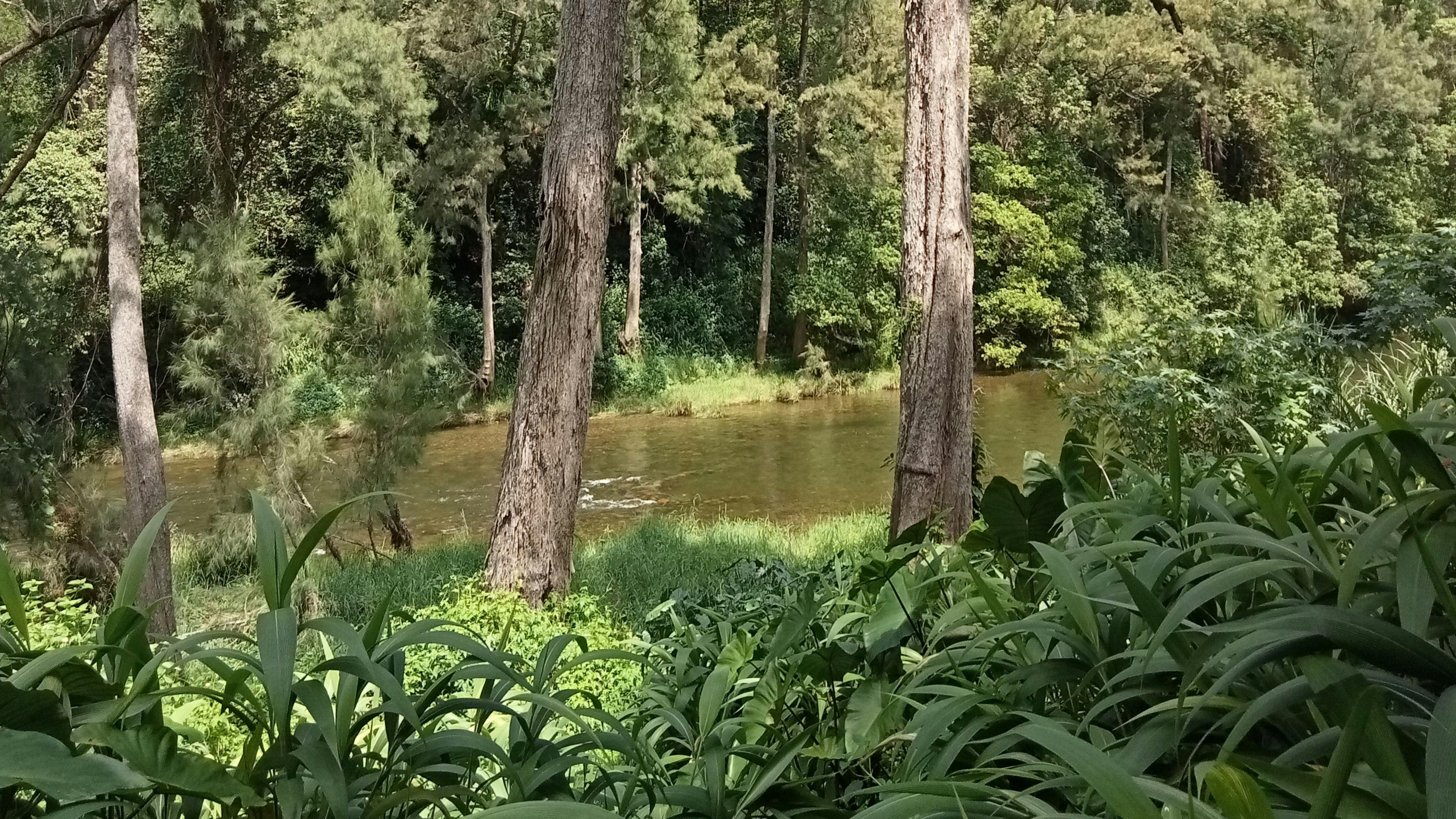 beautiful swimming spot viewable and easily accessible from communal kitchen/dining space 