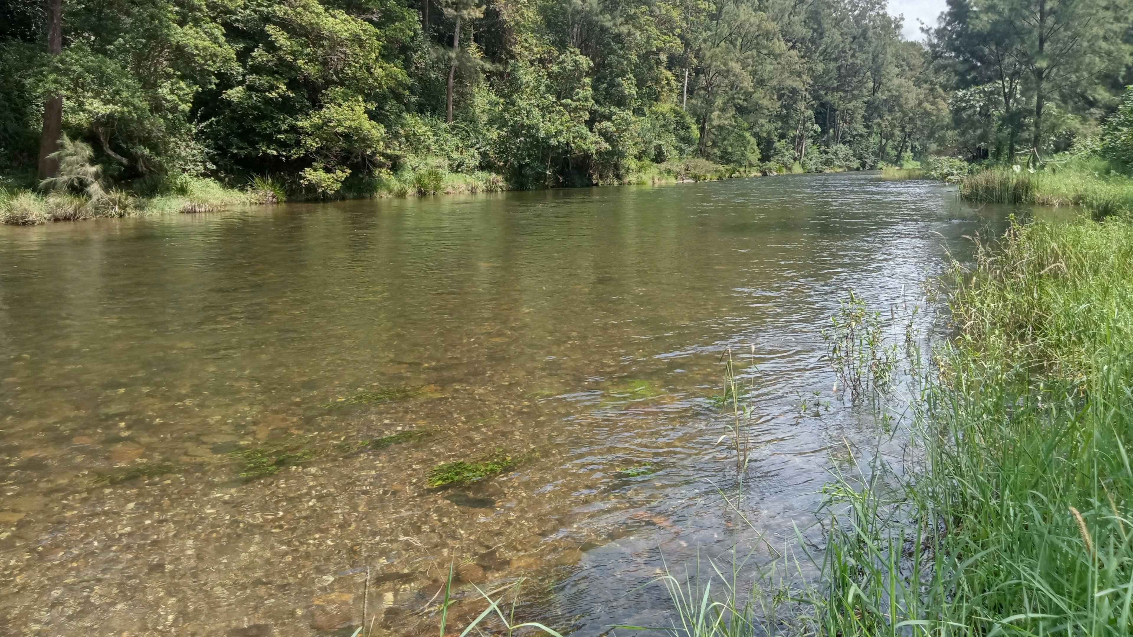 Darkwood Bellingen River Getaway