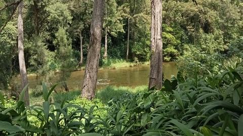Darkwood Bellingen River Getaway
