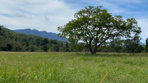 Darkwood Bellingen River Getaway
