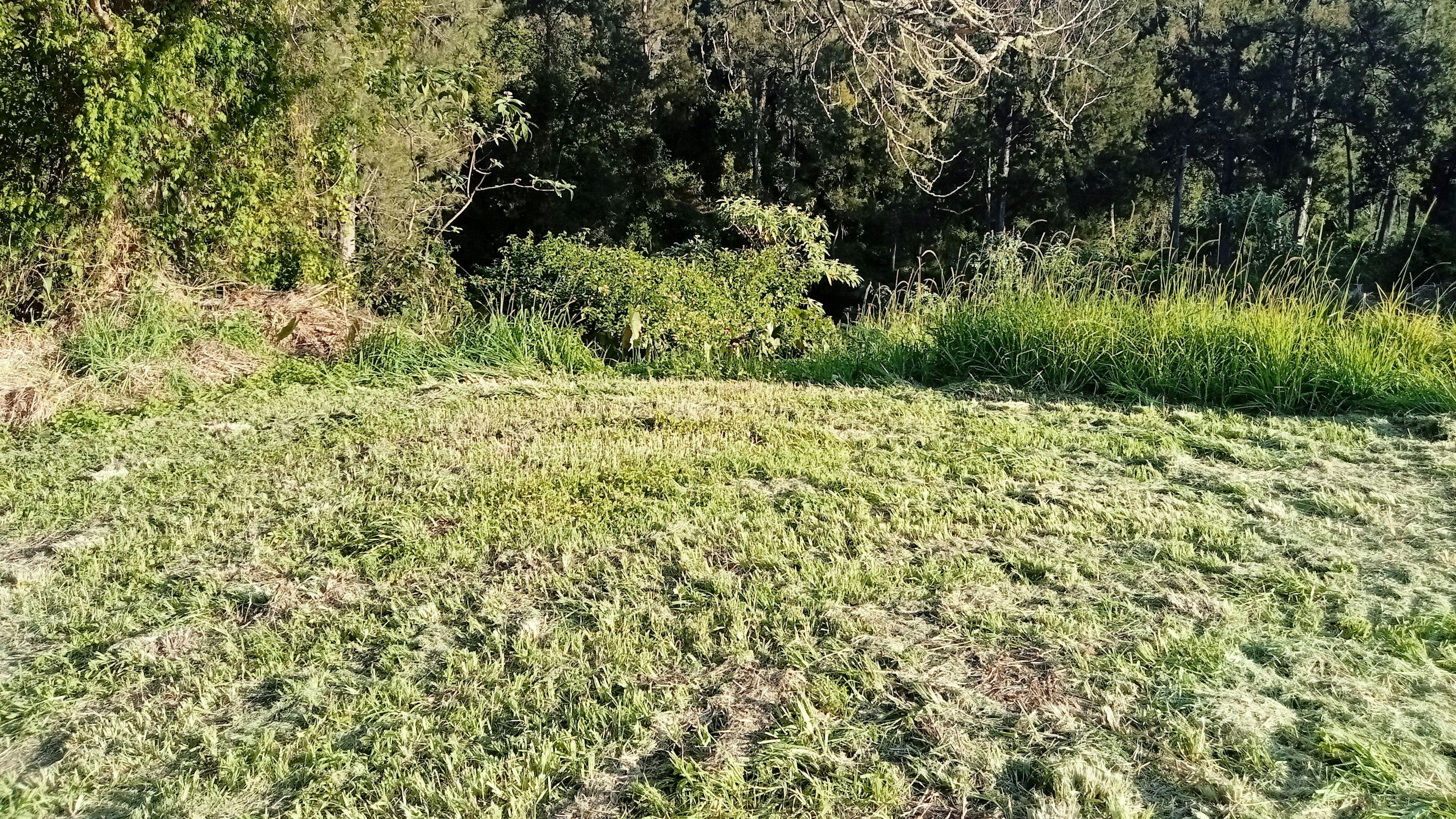 Camp Site for tent or motor vehicle - overlooks the river  