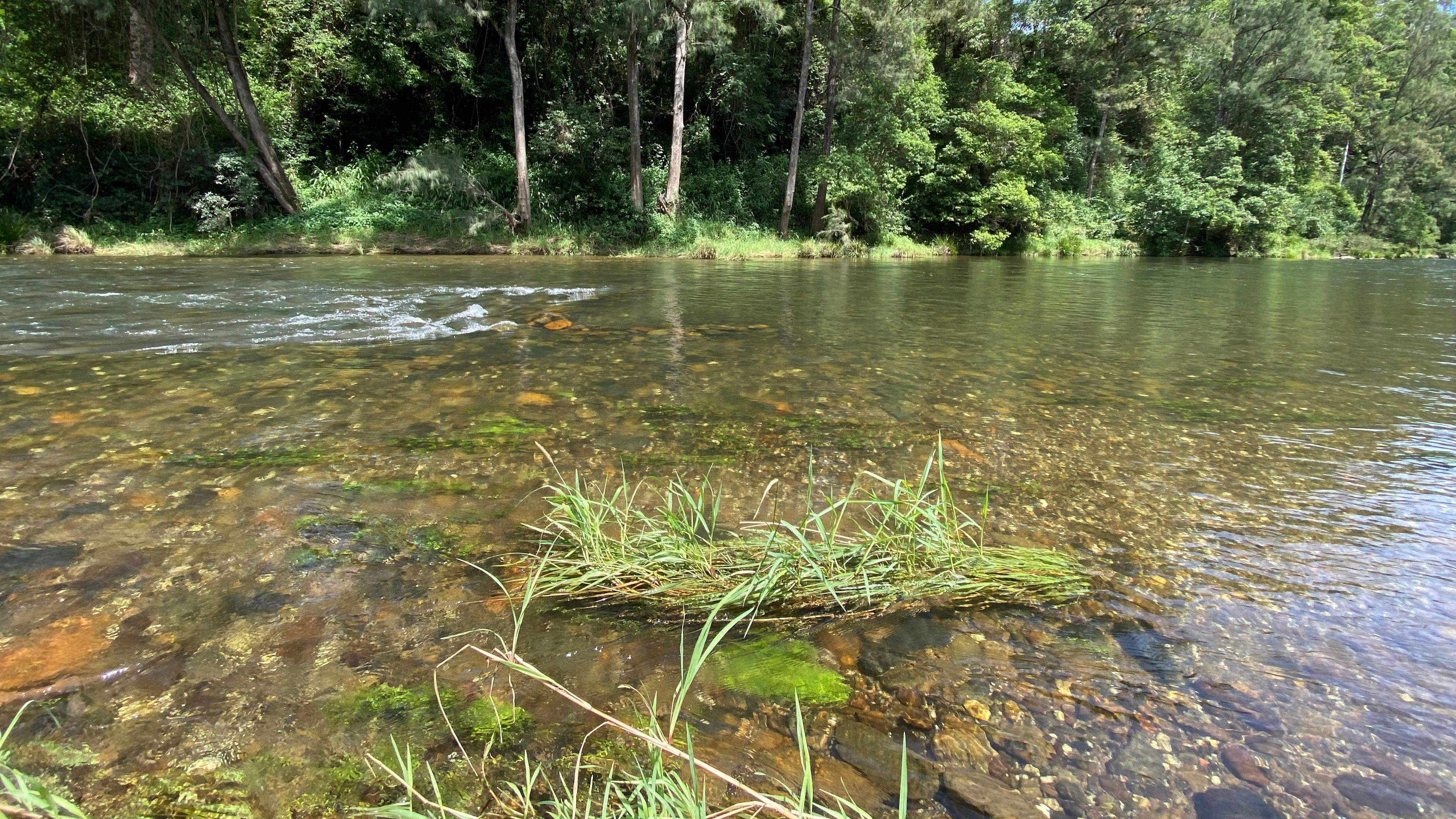 Darkwood Bellingen River Getaway