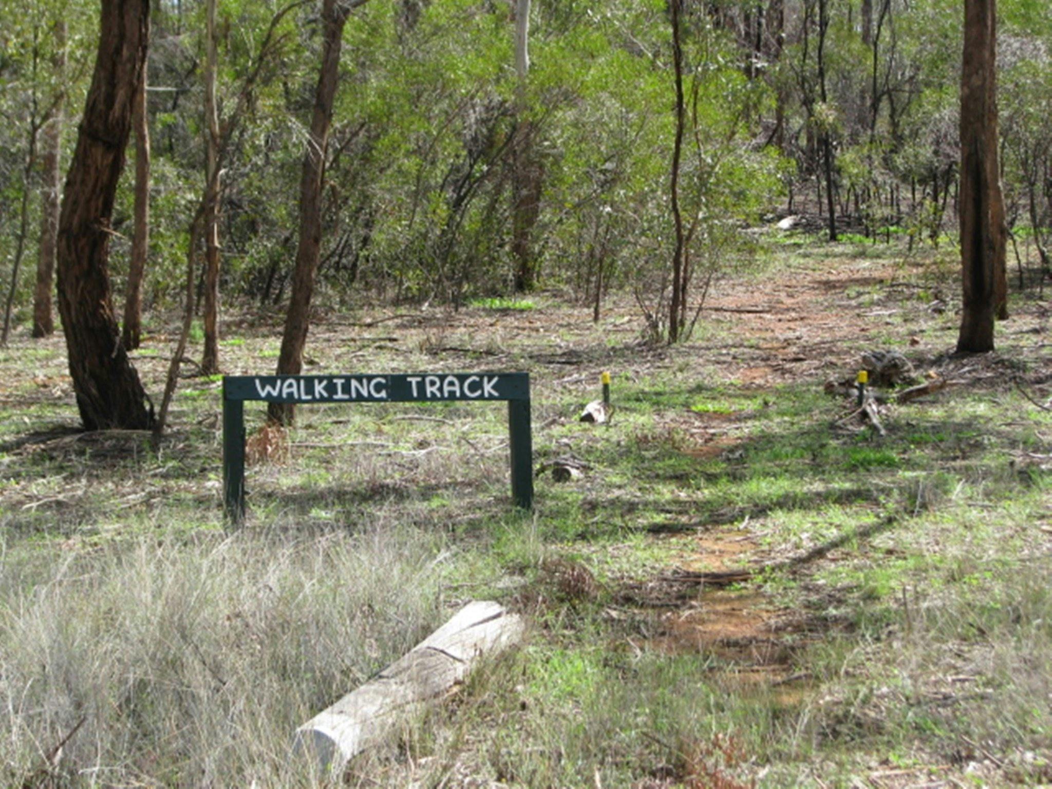 Dunedoo Woodland Learning Centre