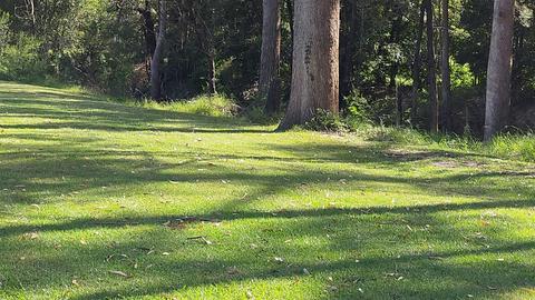 Country Camping on the Coast