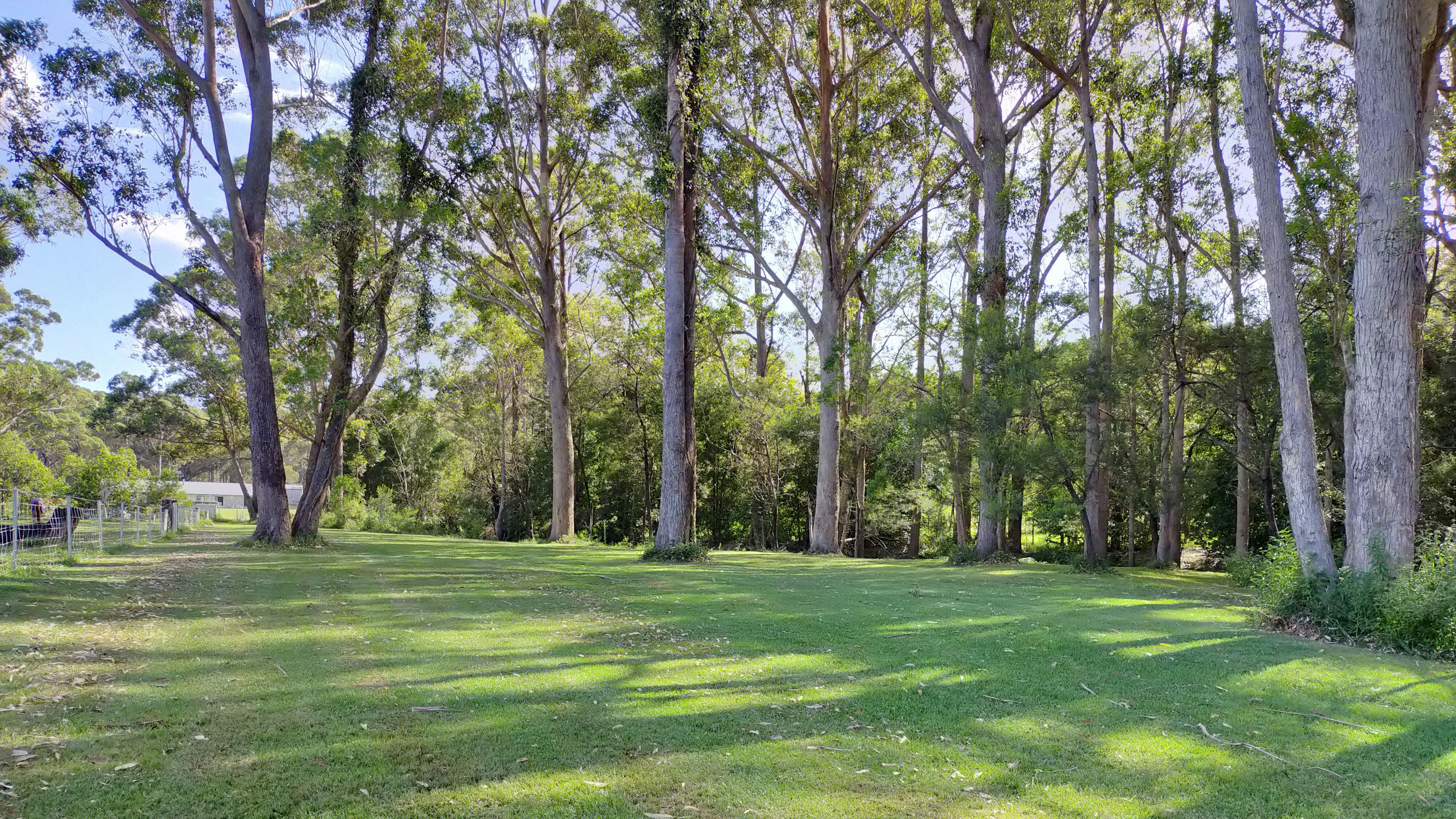 Country Camping on the Coast