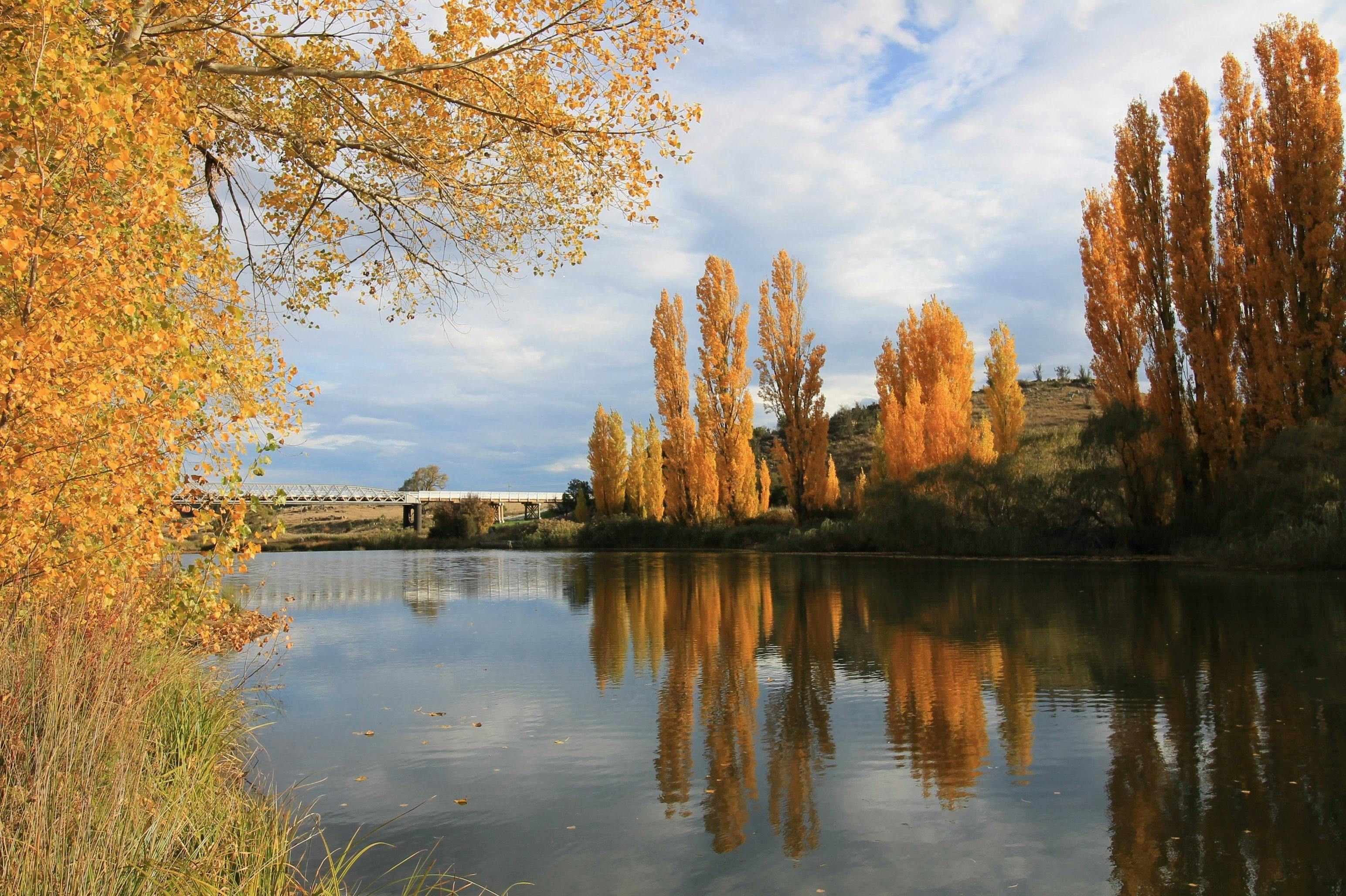 Snowy River at Dalgety in Autumn