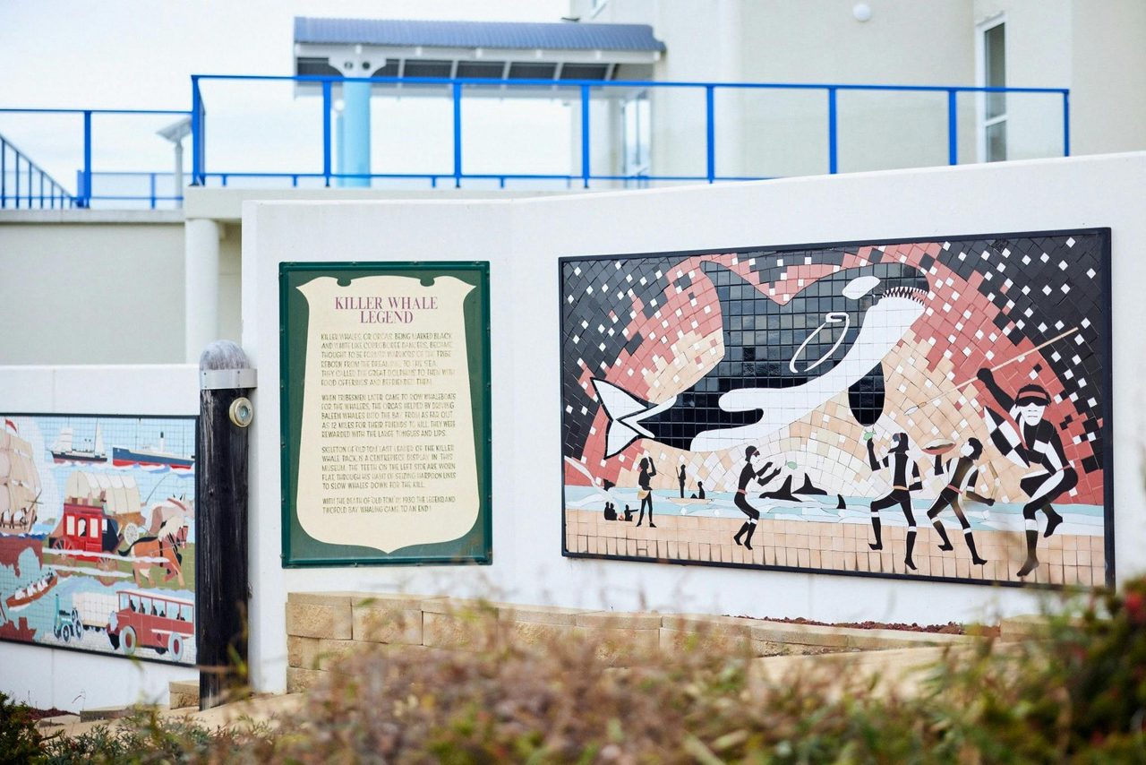 Eden Killer Whale Museum