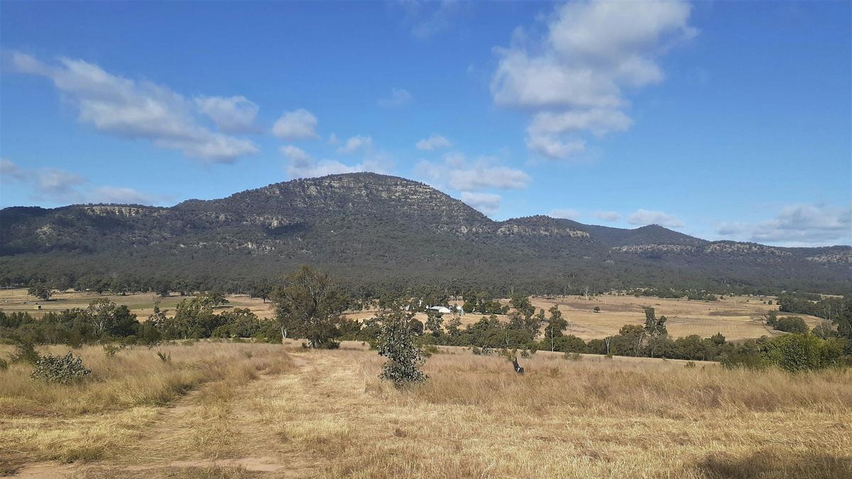 Doyles Creek Camp