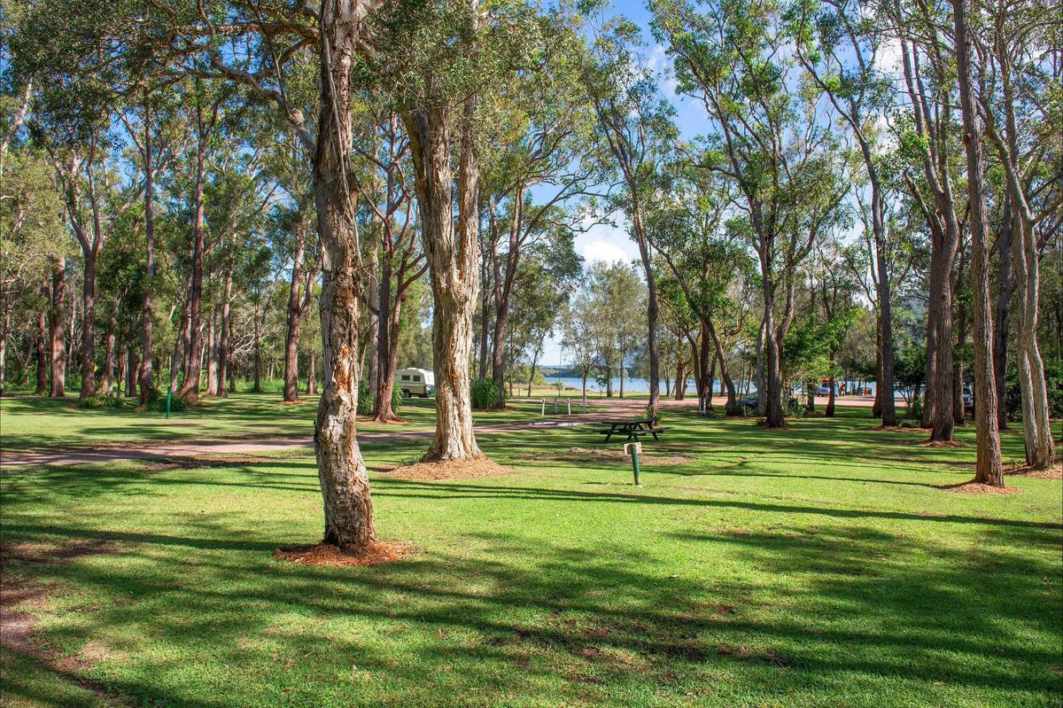 Flat, grassy and shaded unpowered camping sites