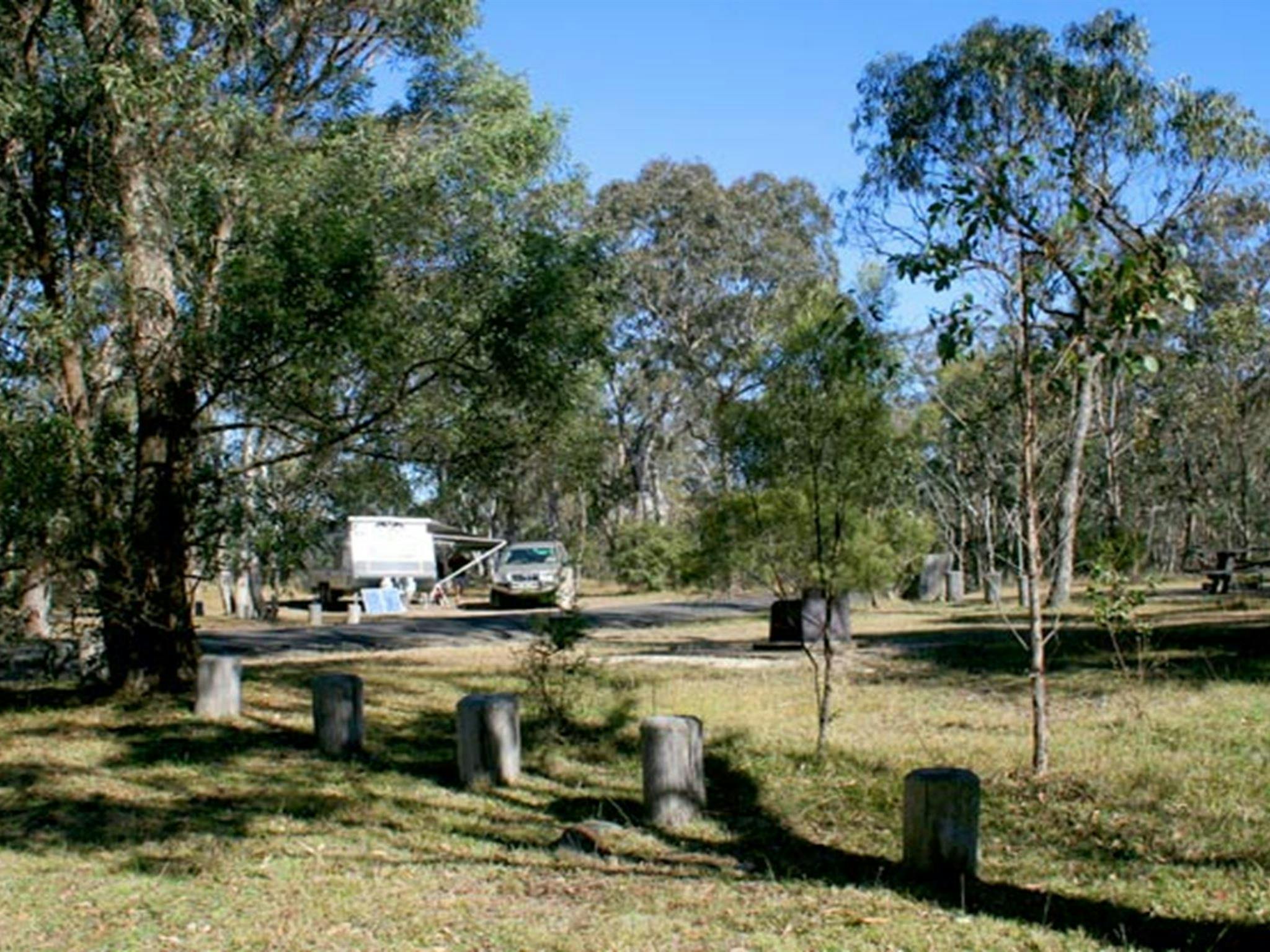 Dangars Gorge campground, Oxley Wild Rivers National Park. Photo: OEH