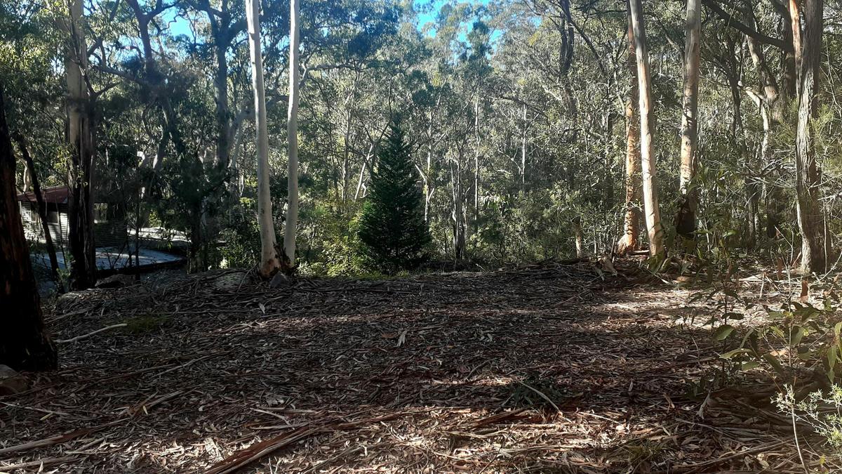 Dharawal Camp