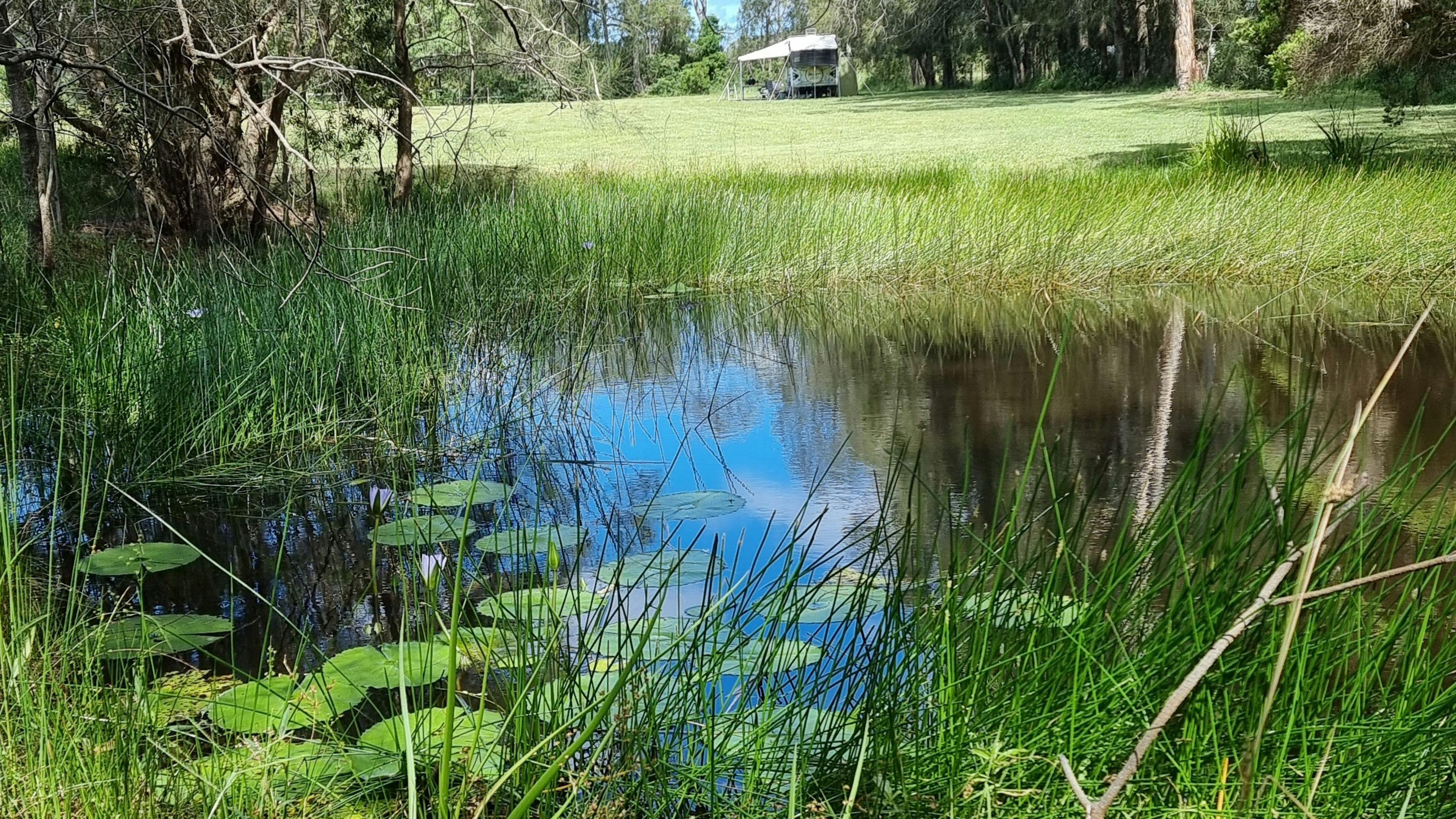 Hipcamper Ian captured this image from one of the spring fed dams.