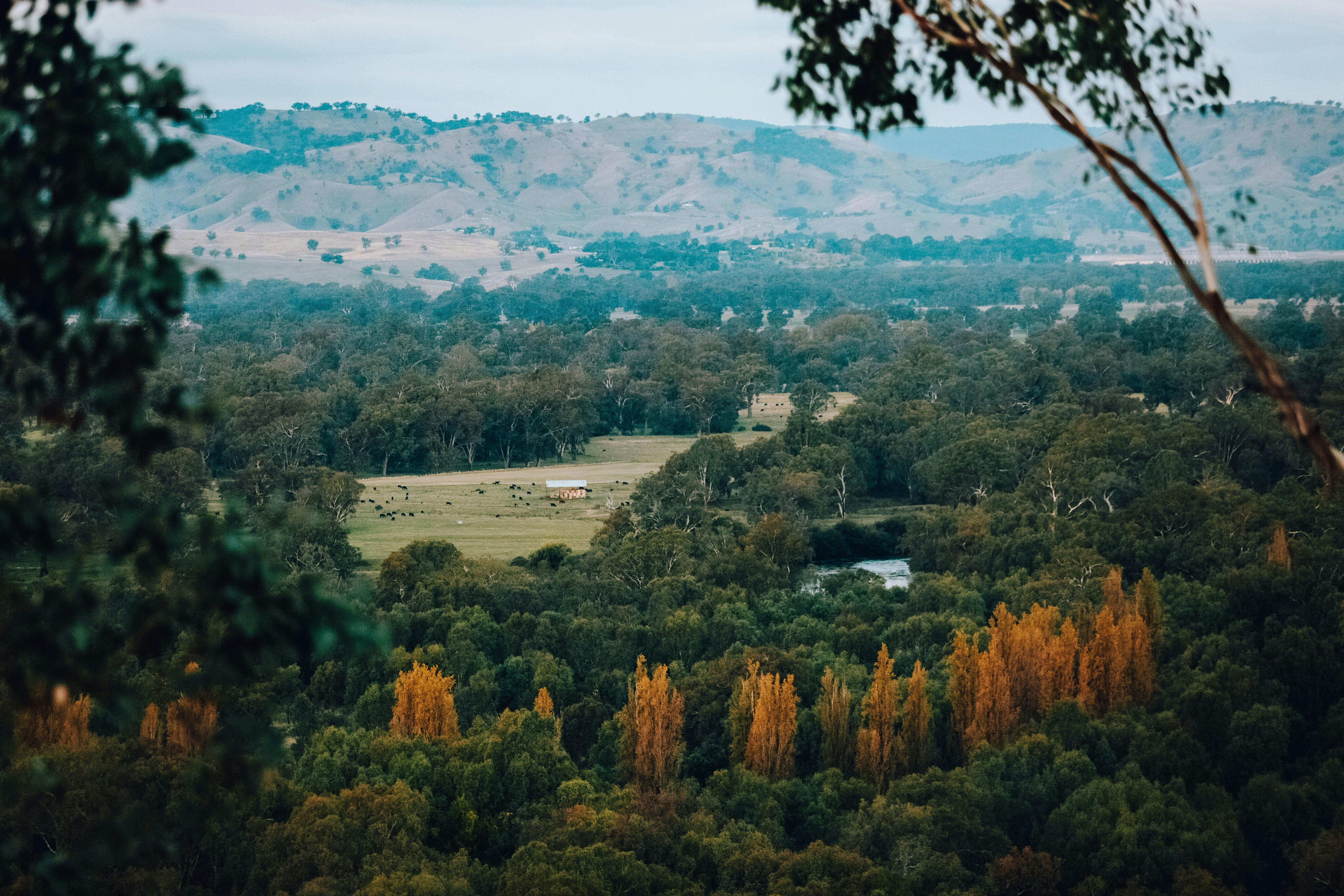 View towards Lake Hume from Eastern Hill