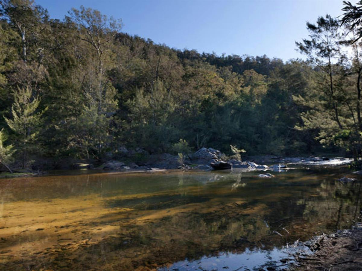 Deua River campgrounds waterside, Deua National Park. Photo: Lucas Boyd/DPIE