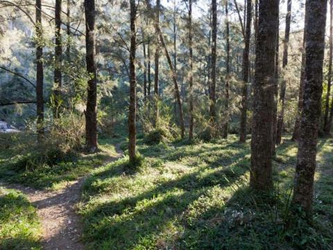 Deua River campgrounds
